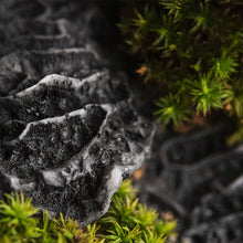 Load image into Gallery viewer, Black Coral Candle