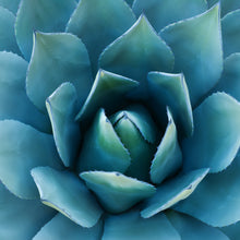 Load image into Gallery viewer, Agave Wax Tarts