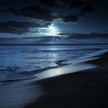 Load image into Gallery viewer, Dark Sea Wax Tarts