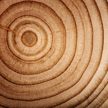 Load image into Gallery viewer, Cedar Wax Tarts