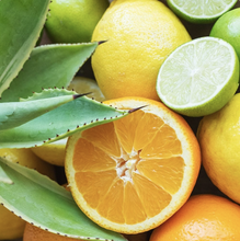 Load image into Gallery viewer, Citrus Agave Wax Tarts