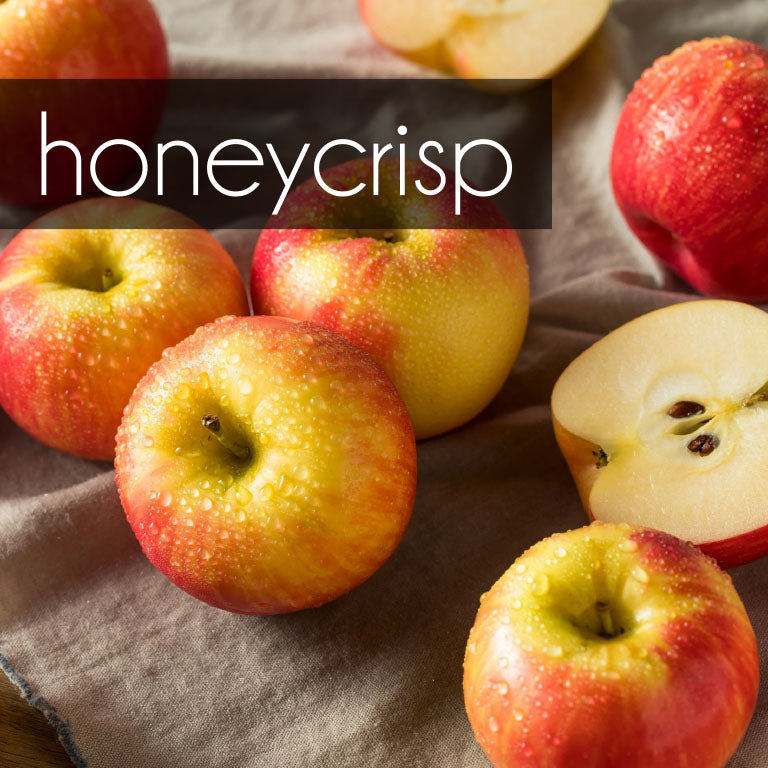 Honeycrisp vs. Evercrisp smackdown - Adam's Apples