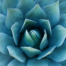 Load image into Gallery viewer, Agave Candle
