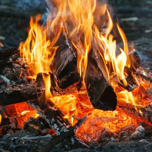 Campfire Wax Tarts