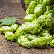 Hops Fragrance Oil